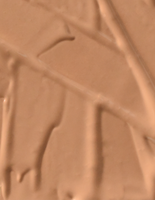 LIVING NATURE FOUNDATION PURE HONEY 30ML