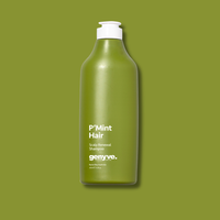 GENYVE. P'MINT HAIR SHAMPOO 450ML