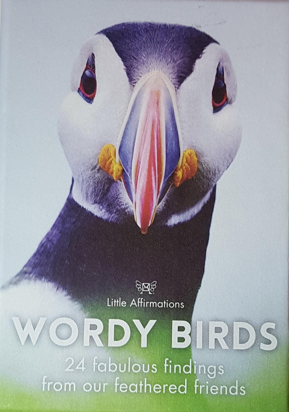 AFFIRMATIONS  BOX-WORDY BIRDS