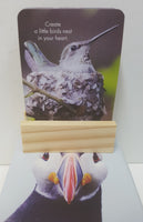 AFFIRMATIONS  BOX-WORDY BIRDS
