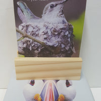 AFFIRMATIONS  BOX-WORDY BIRDS