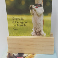AFFIRMATIONS BOX - EVERY DOG
